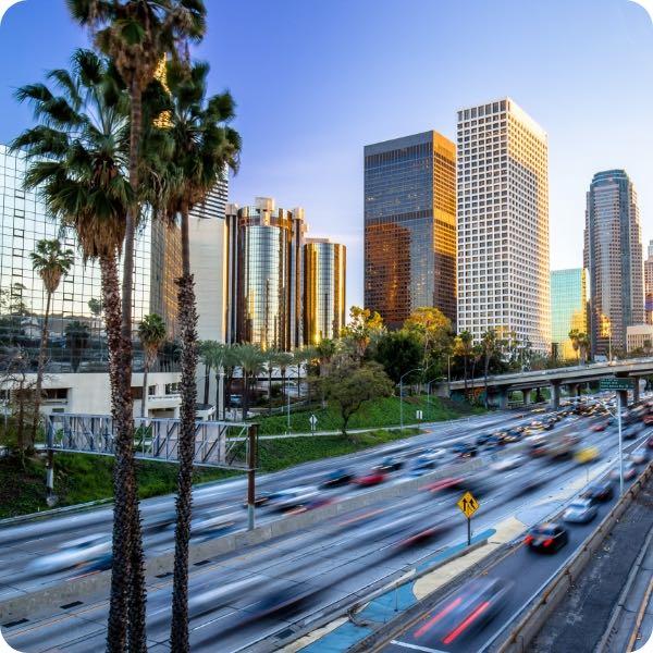 Palm trees, highways, and office buildings in Los Angeles, CA